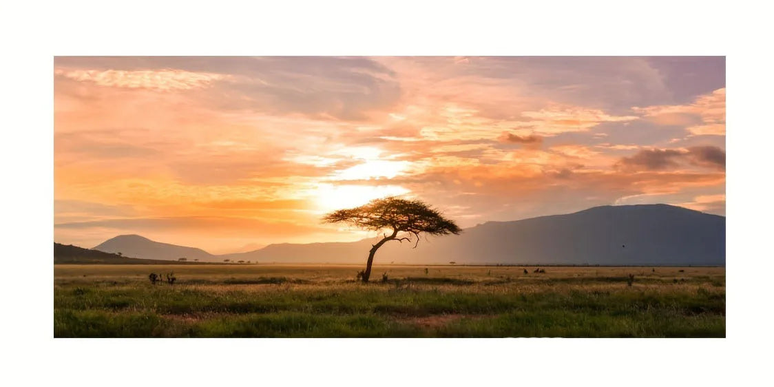 Beach Sunset Landscape Canvas Wall Art – Large Nordic Poster Print for Living Room, Bedroom, and Home Décor